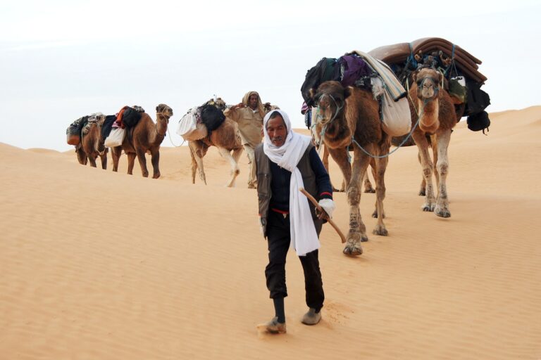 cand sa mergi in tunisia