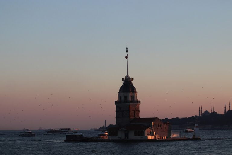 ingrijirea leandrului iarna