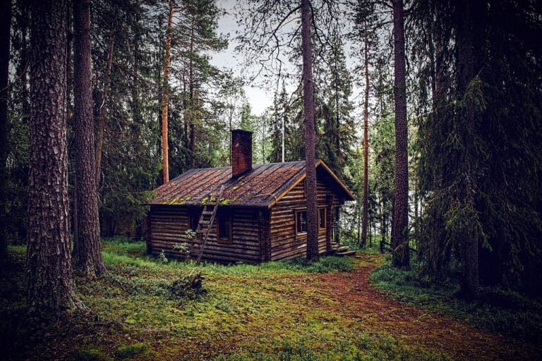 rezervatii naturale
