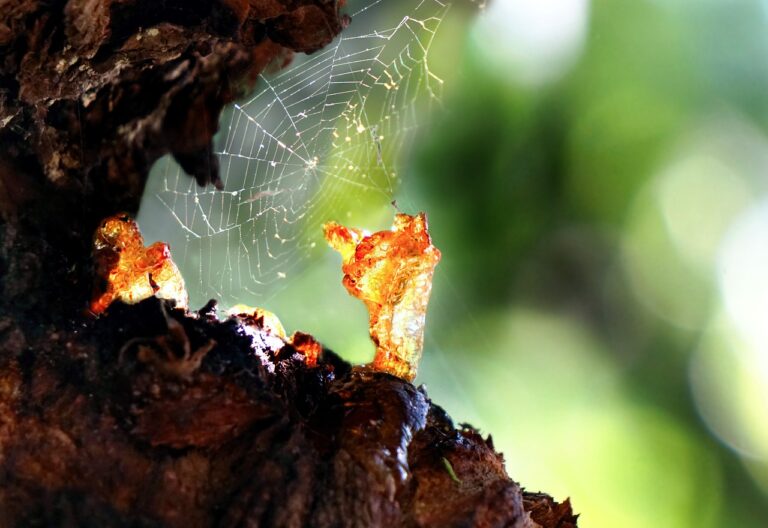 afacere cu rasina epoxidica