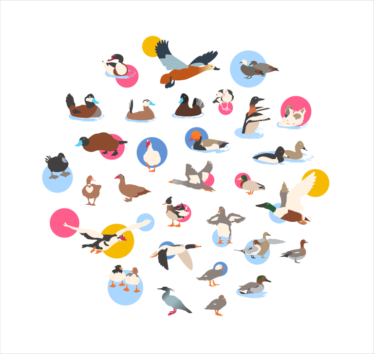 ce inseamna pet friendly