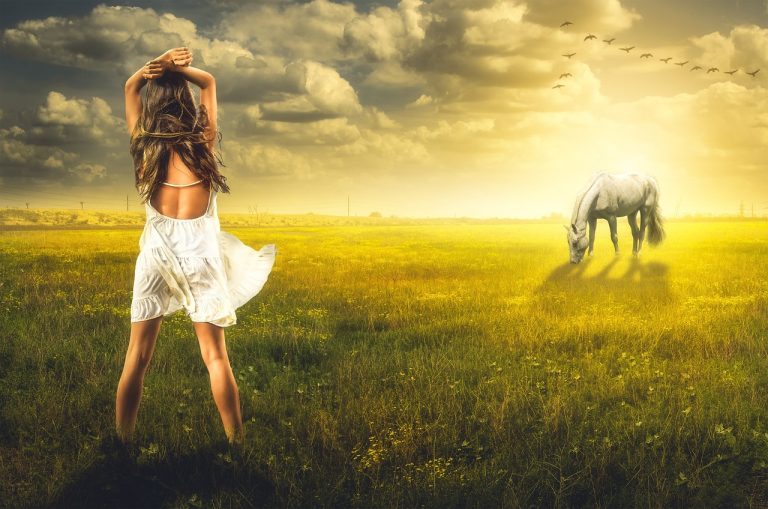 ce inseamna amor fati