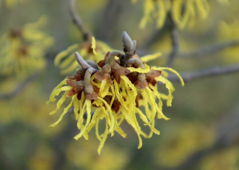 semne ca esti blestemat