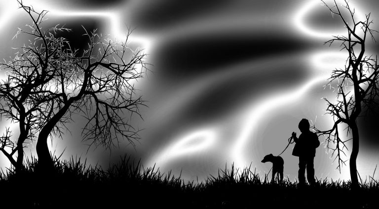 ce inseamna monocrom