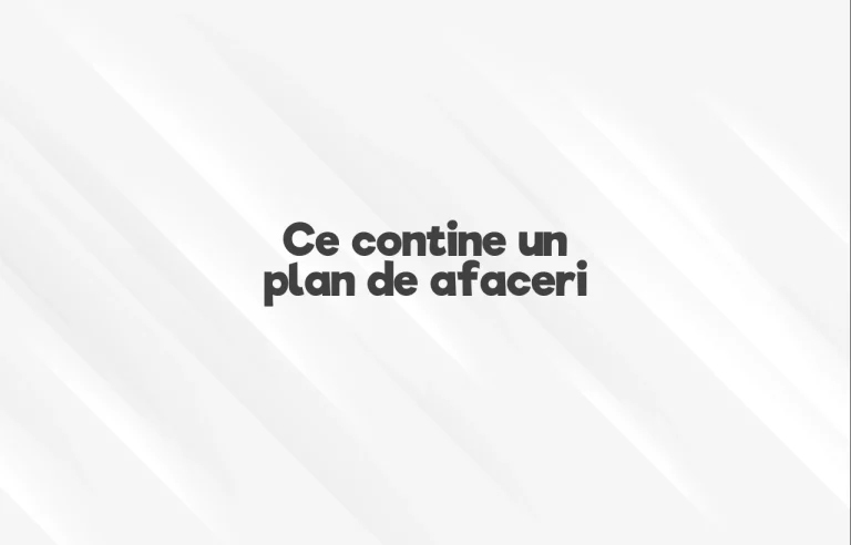 ce contine un plan de afaceri