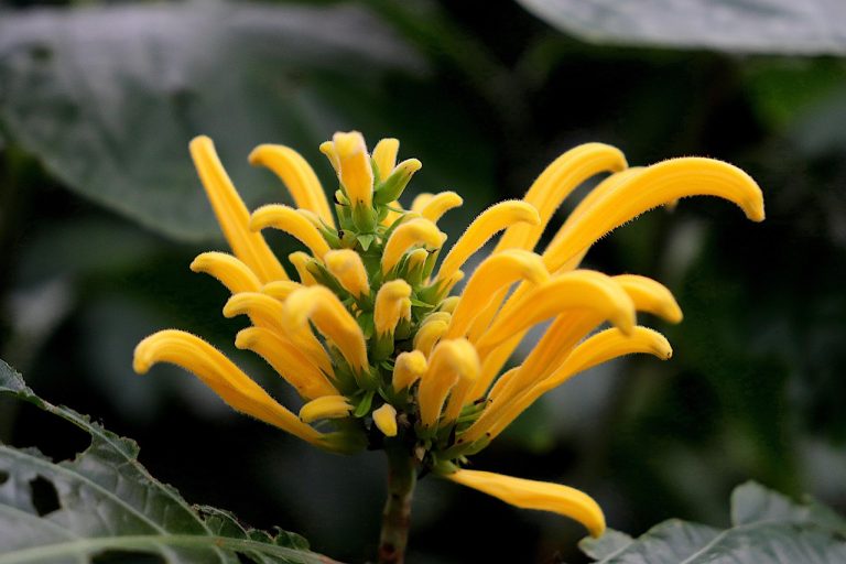 ce se intampla daca esti exmatriculat de la facultate