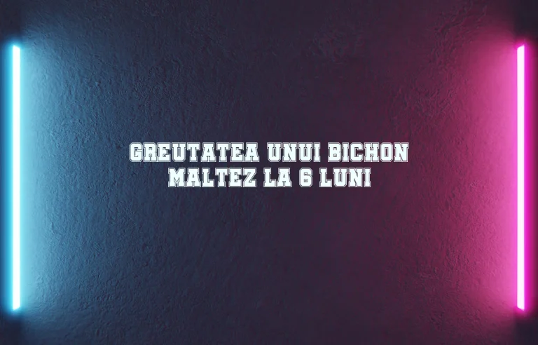 greutate bichon maltez 6 luni