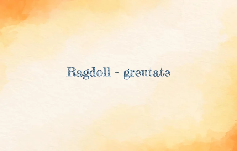ragdoll greutate