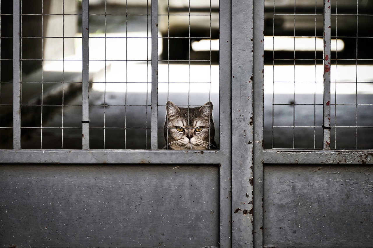 ce sa faci cand te plictisesti