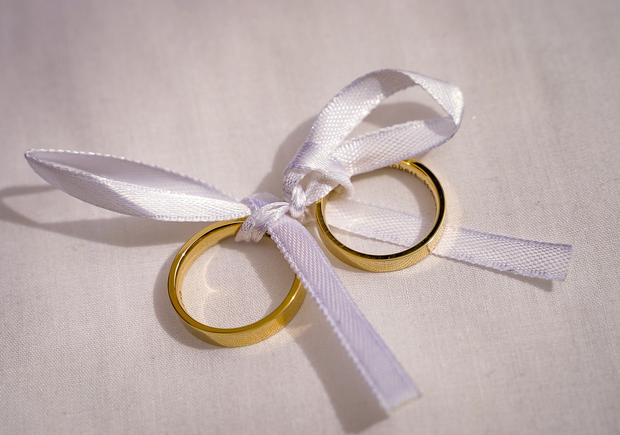 horia brenciu divort