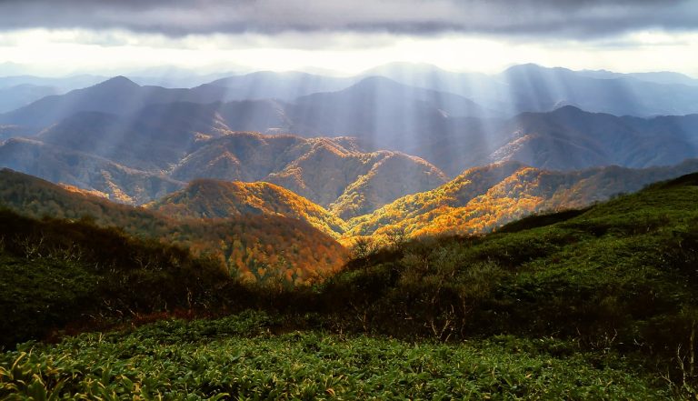ce poti vizita in sinaia