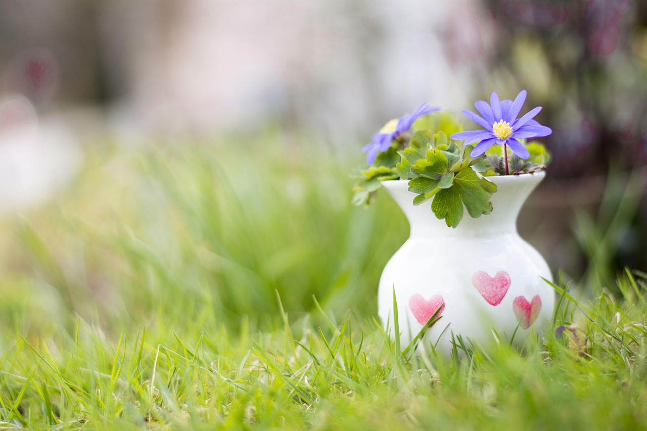 cand se scot muscatele afara